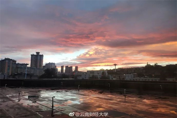 20家券商一季报：经纪、两融高增长，自营分化