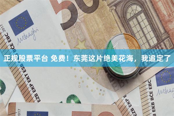 正规股票平台 免费！东莞这片绝美花海，我追定了