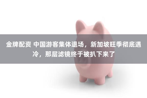 金牌配资 中国游客集体退场，新加坡旺季彻底遇冷，那层滤镜终于被扒下来了