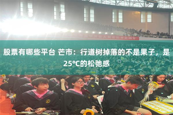 股票有哪些平台 芒市：行道树掉落的不是果子，是25℃的松弛感