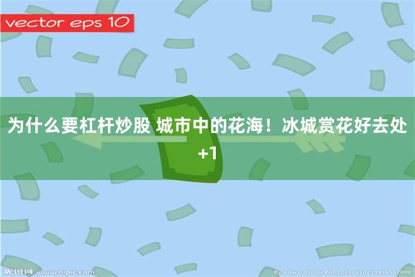 为什么要杠杆炒股 城市中的花海！冰城赏花好去处+1
