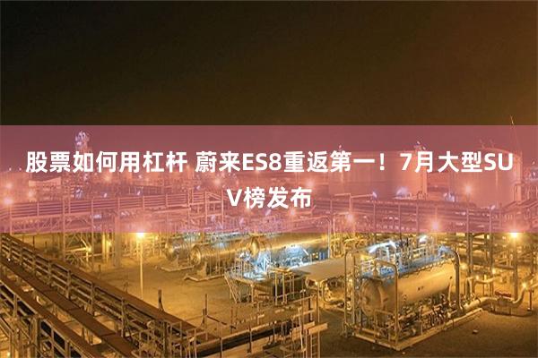 股票如何用杠杆 蔚来ES8重返第一！7月大型SUV榜发布