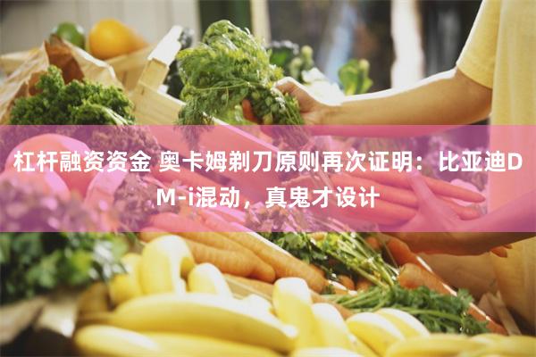 杠杆融资资金 奥卡姆剃刀原则再次证明：比亚迪DM-i混动，真鬼才设计