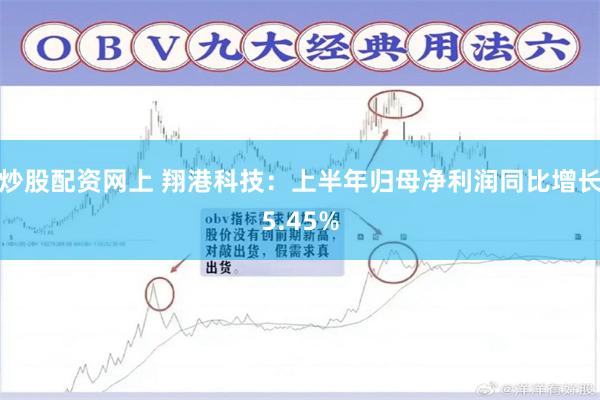 炒股配资网上 翔港科技：上半年归母净利润同比增长5.45%