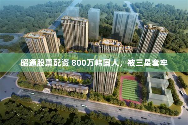 昭通股票配资 800万韩国人,被三星套牢