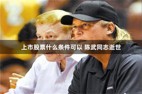 上市股票什么条件可以 陈武同志逝世