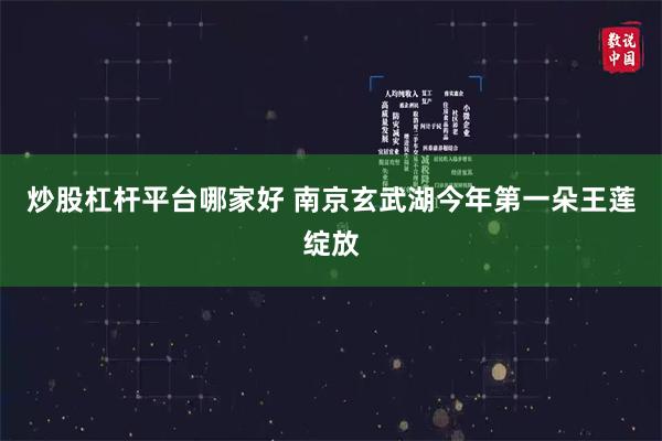 炒股杠杆平台哪家好 南京玄武湖今年第一朵王莲绽放
