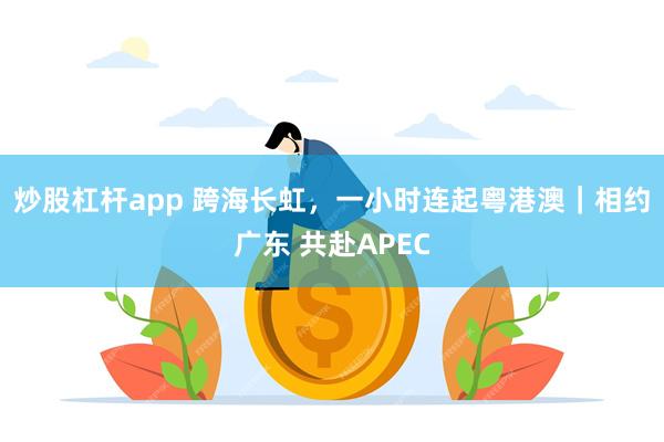炒股杠杆app 跨海长虹，一小时连起粤港澳｜相约广东 共赴APEC