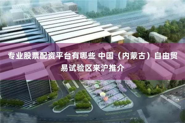 专业股票配资平台有哪些 中国(内蒙古)自由贸易试验区来沪推介