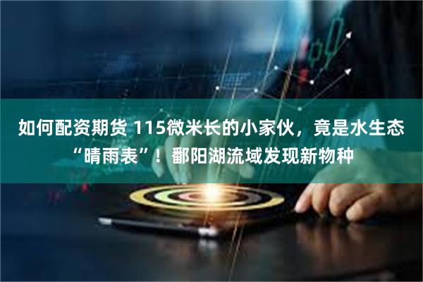 如何配资期货 115微米长的小家伙,竟是水生态“晴雨表”!鄱阳湖流域发现新物种