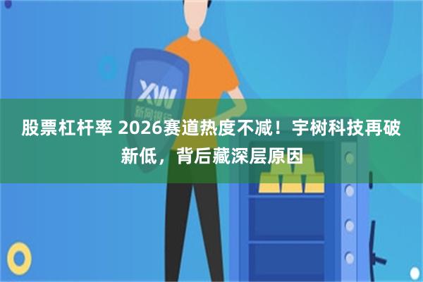股票杠杆率 2026赛道热度不减！宇树科技再破新低，背后藏深层原因