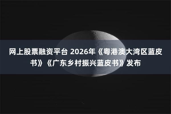 网上股票融资平台 2026年《粤港澳大湾区蓝皮书》《广东乡村振兴蓝皮书》发布