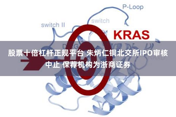 股票十倍杠杆正规平台 朱炳仁铜北交所IPO审核中止 保荐机构为浙商证券