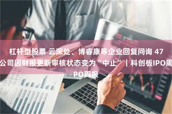 杠杆型股票 云深处、博睿康等企业回复问询 47家公司因财报更新审核状态变为“中止”｜科创板IPO周报
