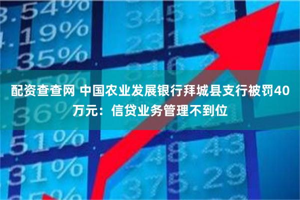 配资查查网 中国农业发展银行拜城县支行被罚40万元：信贷业务管理不到位